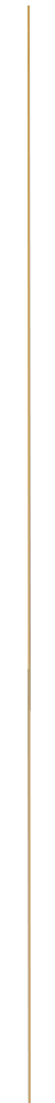 Garis Pembatas